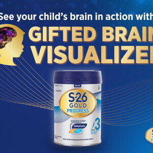 Gifted Brain Visualizer