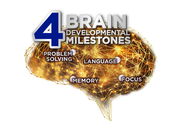 brain with 4 areas of development brain with 4 areas of development